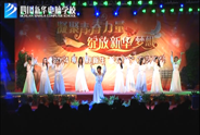<b>《落花情》</b>