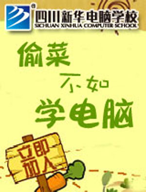 偷菜不如学电脑