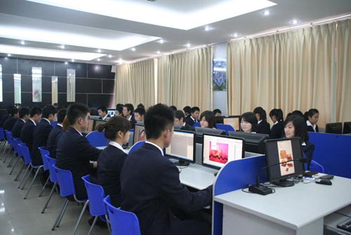 学什么技术好