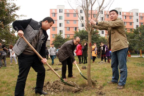 植树节：拥抱春天 播种绿色
