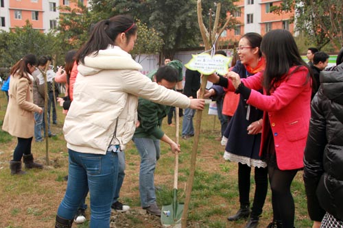植树节：拥抱春天 播种绿色