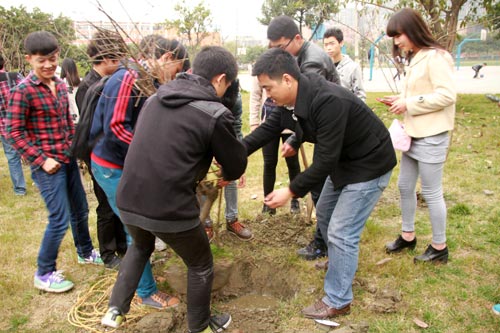植树节：拥抱春天 播种绿色