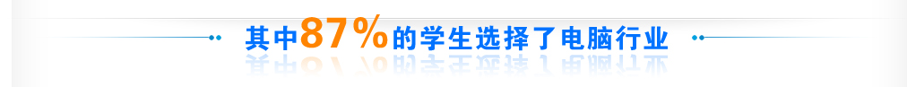 选择了电脑行业