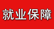 网络工程四重就业服务保障
