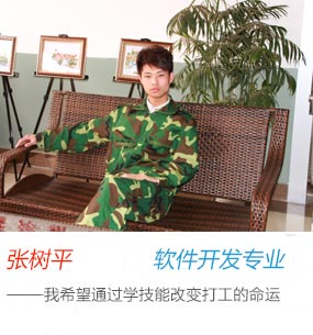 张树平
