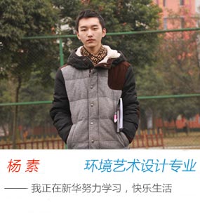 杨素